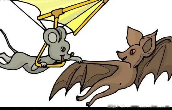 老鼠为什么变成蝙蝠 蝙蝠和老鼠的关系是什么