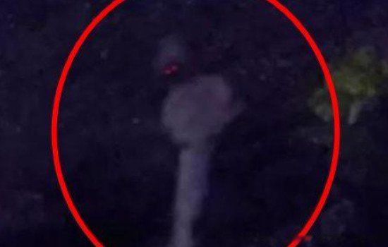 ��������й�������Ƭ 2015���ٴγ���ʮ�ֲֿ�