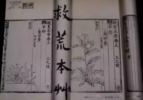 救荒本草是哪个时期的谁编撰的 是什么朝代的书作者是谁