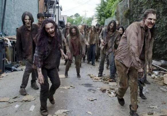 ɥʬ��������������� �й�ɥʬ���������¼�