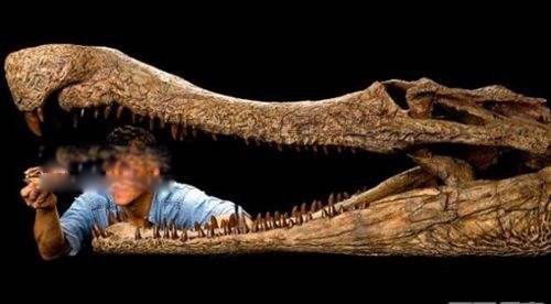 有角鳄鱼的样子图片 有角鳄的灭绝原因是什么