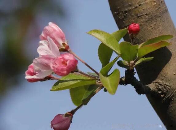 �����յ��������̷ʺ���ָ����ʲô�� ����ָ���Ļ�