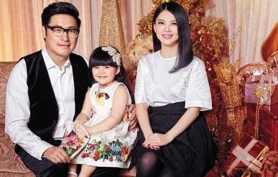 王岳伦家产多少亿 他和李湘为什么那么有钱呢