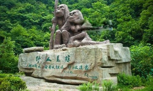 ��ũ��Ұ����ʵ��Ƭ Ұ����ʵ�¼��Ƿ����