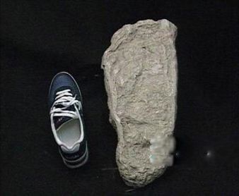 ��ũ��Ұ����ʵ��Ƭ Ұ����ʵ�¼��Ƿ����