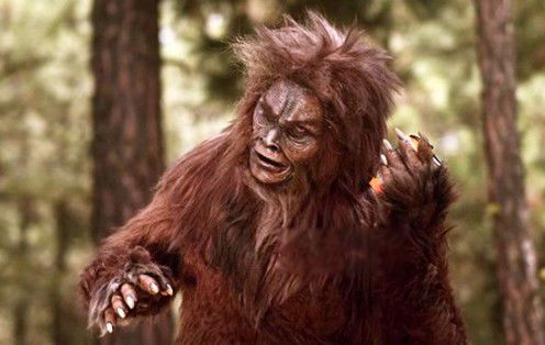 ��ũ��Ұ����ʵ��Ƭ Ұ����ʵ�¼��Ƿ����