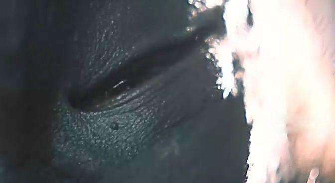 ���5������ֲ��¼� ��ͷ��Ӥ��ʵ�¼������ô��