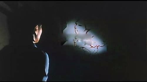 ���5������ֲ��¼� ��ͷ��Ӥ��ʵ�¼������ô��