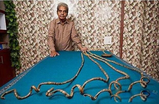 �����ָ��ͼƬ��ȫ ����˹��¼ָ���ж೤