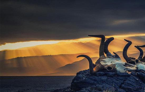 ����ɽ�����ȵ��������� �����������¼�����֮��