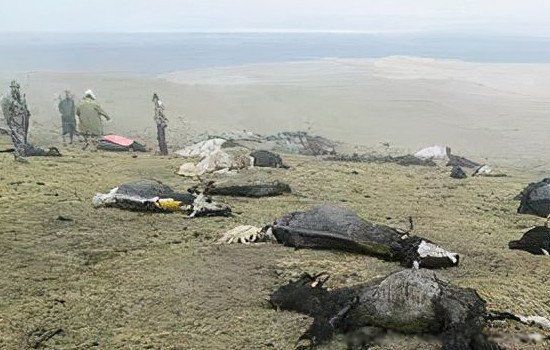 ����ɽ�����ȵ��������� �����������¼�����֮��