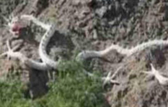 ����ɽ�����ȵ��������� �����������¼�����֮��