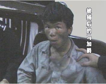 ���Ӿ��¼���ʵ�����򼰾��� 2004�����Ӿ��¼��򵥽���