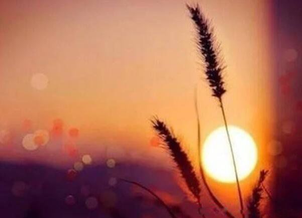 ����Ů�����ʼ�̾��� 20�侭��˵˵������һ�仰