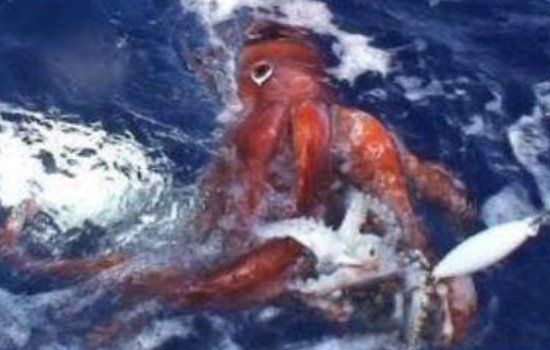 ���������Ĵ�������ͼƬ ���ʹ���������󳤶�����