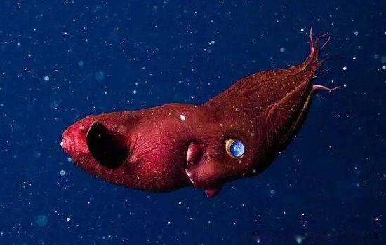 ���������Ĵ�������ͼƬ ���ʹ���������󳤶�����