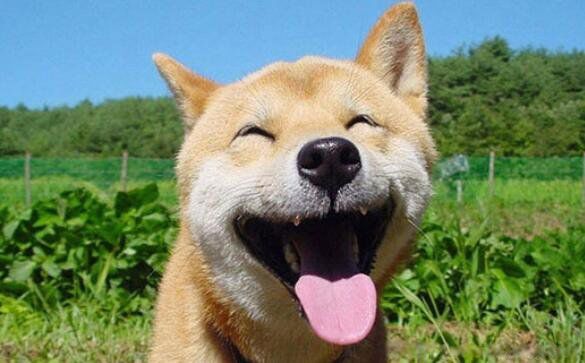 Ц�����Ӵ�ȫЦ�������� ��Ц�����Ĭ��Ȥ