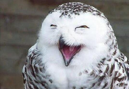 Ц�����Ӵ�ȫЦ�������� ��Ц�����Ĭ��Ȥ