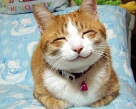 Ц�����Ӵ�ȫЦ�������� ��Ц�����Ĭ��Ȥ