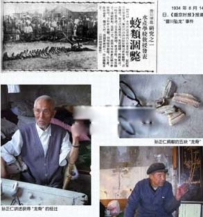 �����¼���ʵ������ȫ 10���ֲ������������ʵ�¼�