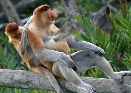 ���Ǻ�������ʲô�ط� ��ֳΪʲôһֱ����