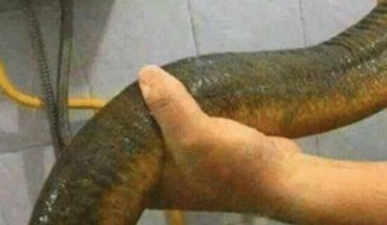 ��������Ĵ����� �ж��п�ѧ������
