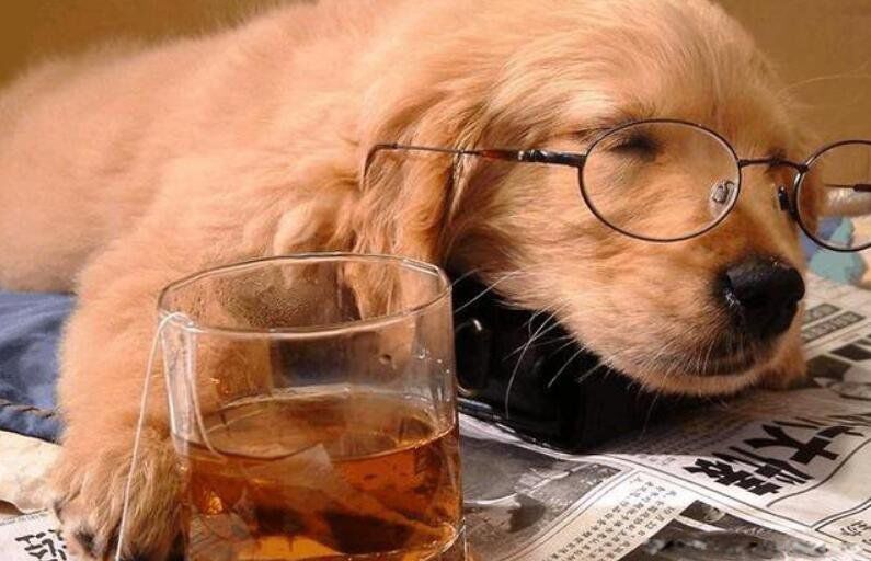 ��ƽ��ʲô��˼ͨ���׶����� ��ο�����ƽ����