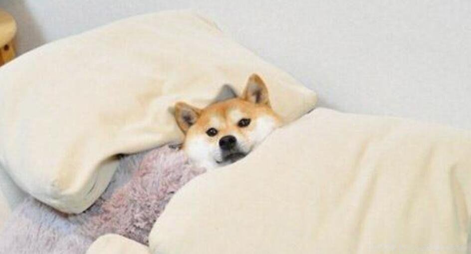 ��ƽ��ʲô��˼ͨ���׶����� ��ο�����ƽ����