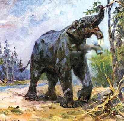 ������ʲô���� ������������ĸ���