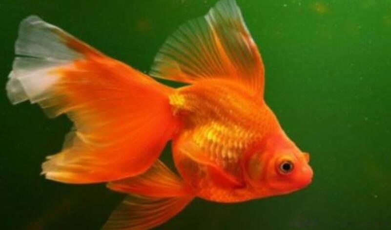 �μ���ᷢ���� 5��Ҫ���Ƶ���������5��