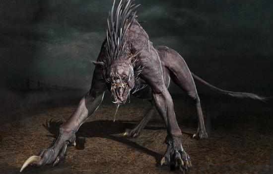 ׿�ؿ�������ʲô���� ���೤ʲô��