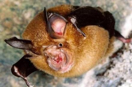 �����ֲ����� ����ĩβ�ľ�ͷ����ʲô