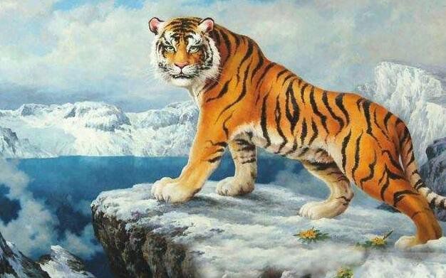 ����������Ҫע��Щʲô Ӧ��ע��ʲô����ͼɻ�