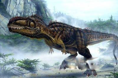 ��������ʲô���ӵ���ʲô���� �Ϸ��������Ͱ������ĸ�����