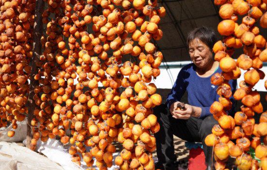 ����ˮ������Щ ��ҵ�ڷ����ּ���ˮ��