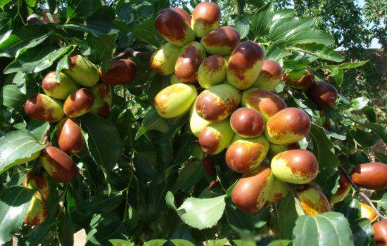 ����ˮ������Щ ��ҵ�ڷ����ּ���ˮ��