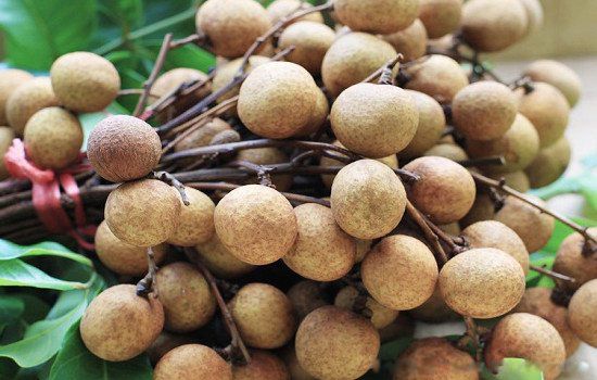 ����ˮ������Щ ��ҵ�ڷ����ּ���ˮ��