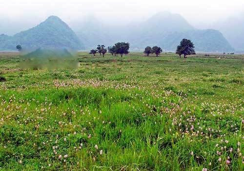 棺材兽长什么样子图片 棺材兽传说真的存在吗