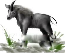 棺材兽长什么样子图片 棺材兽传说真的存在吗