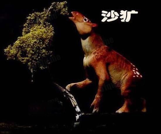 棺材兽长什么样子图片 棺材兽传说真的存在吗