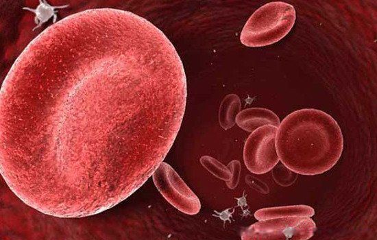 rh����Ѫ��ʲôѪ�� ��èѪ��ȫ���ж�����ӵ��