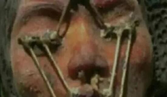 ����Ůʬ������ͼƬ ��������������Ůʬ������ʲô��