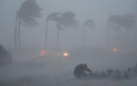 1979̩��̨����ټ� 21��̨���ж������