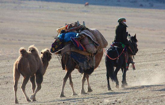 �ɿ��к��������˸���ԭ������������˭ ����Ů��Ӧ�����˵ĸ�ԭ��