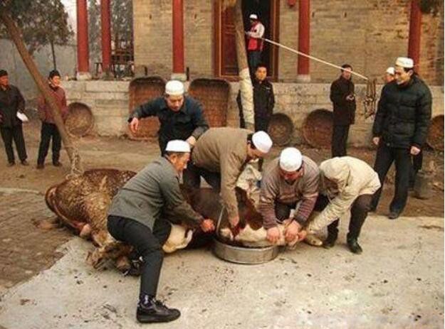 ���岻������ԭ��͹�ԭ�� ����Ϊɶ�Բ�������