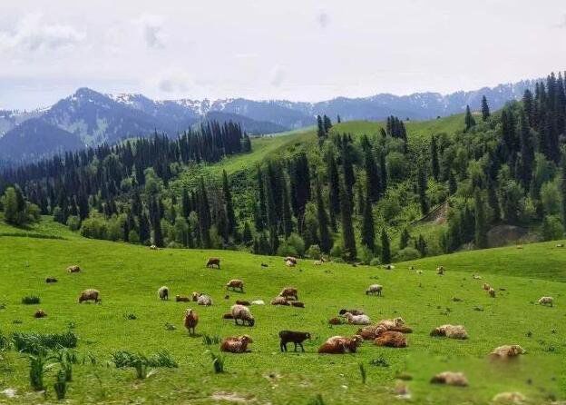 ��͵�������ĸ���� ���纣����͵��������ǰ��