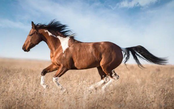 �������������� 2022��������Ĵ���������Щ