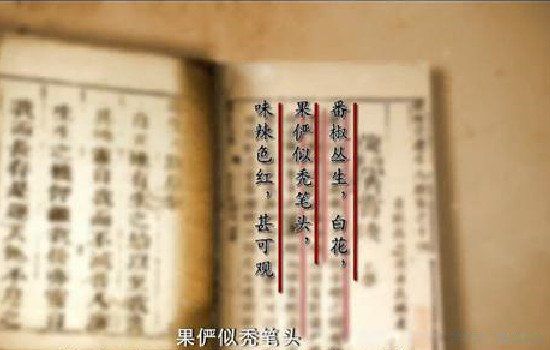辣椒什么时候传入中国什么地方 辣椒的起源地和传入中国的时间