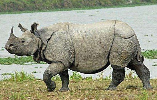 צ��Ϭţ������� �����ִ������Ƕ���