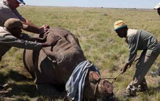 צ��Ϭţ������� �����ִ������Ƕ���